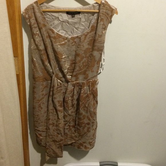 Blush Cynthia Steffe burnout velvet dress metallic - Picture 3 of 4