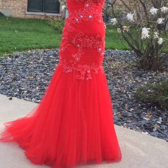 Prom Dress - Picture 3 of 4
