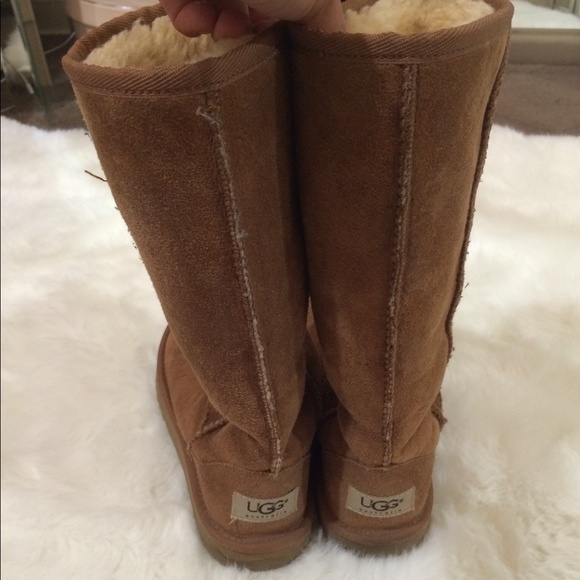 Chestnut colored uggs - Picture 3 of 3