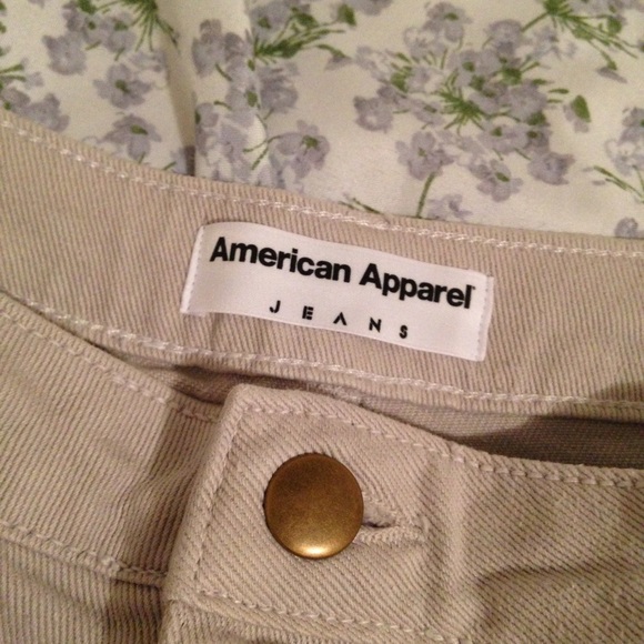 American Apparel high waisted skirt