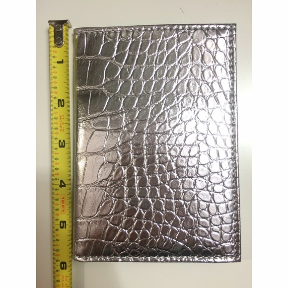 Metallic Silver Passport Case