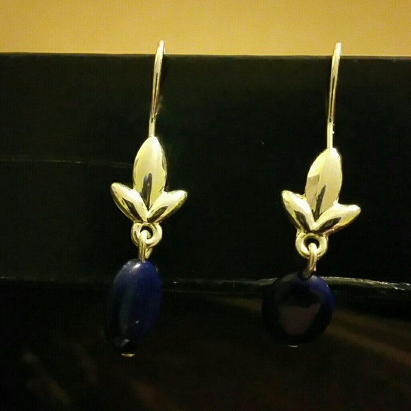 Navy  blue/silver necklace and earrings