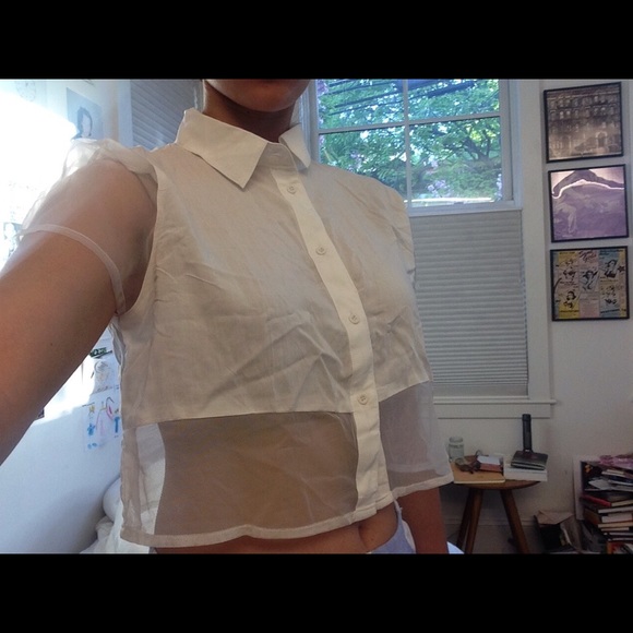 LF sheer crop top
