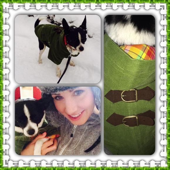 Gooby DOG jacket - Picture 2 of 4