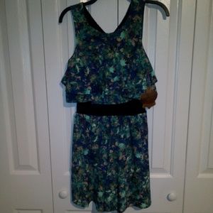 Princess vera wang dress