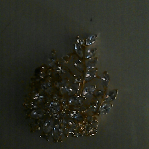 Big beautiful pin.
