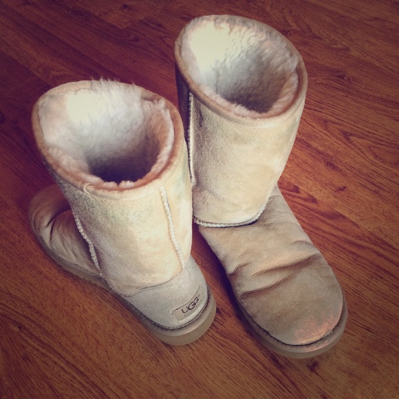 Classic short Uggs