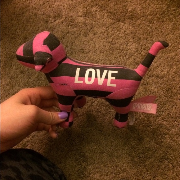 Pink dog - Picture 2 of 2