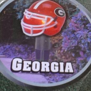 Ga Bulldogs pathway lights