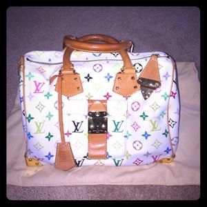 Louis Vuitton speedy multi colored
