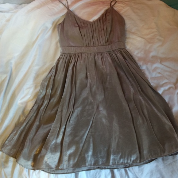 Silver Dress