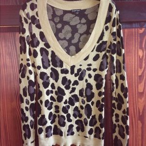 Cheetah Express Long Sleeve Sweater