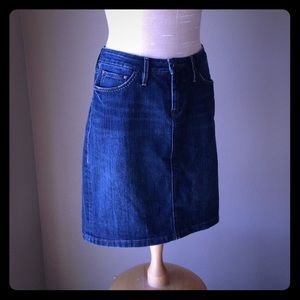 Jag Jean Skirt