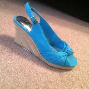 Blue wedges