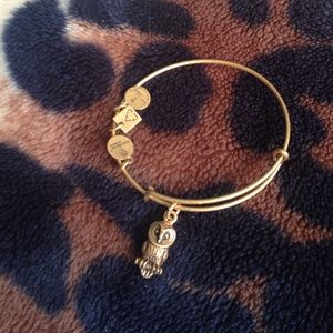 Alex and ani owl charm bangle