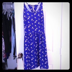 Royal blue sundress with cutout back