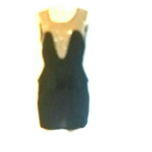 Dress  skirt