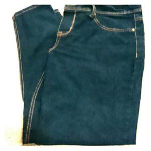 Petite large Jean jeggings