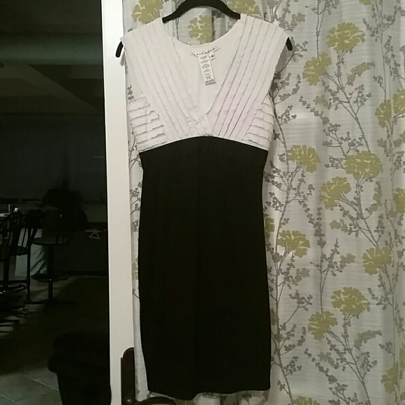 Max Studio Dress