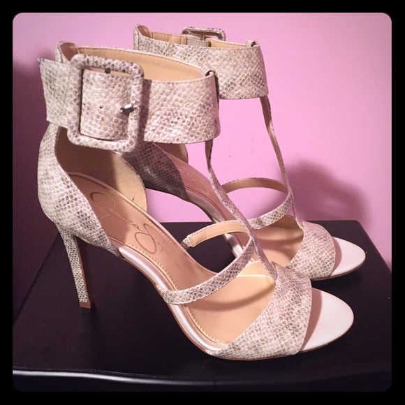 Snakeskin heals
