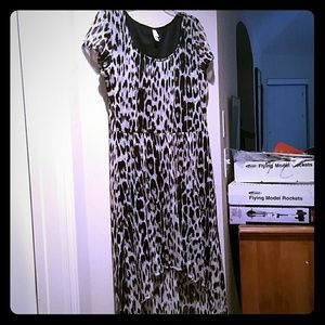 Leopard lace high low dress