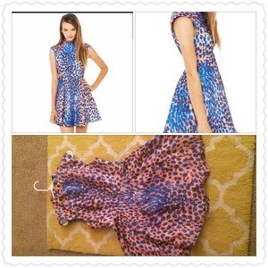 Cameo Night Sky Dress