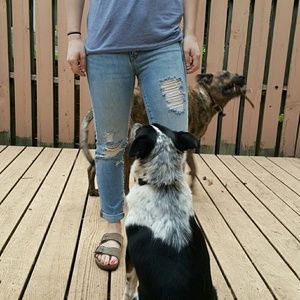 Gap sexy boyfriend destructed