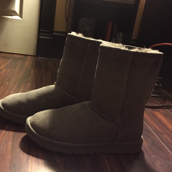 Grey Short/Mid UGG boots