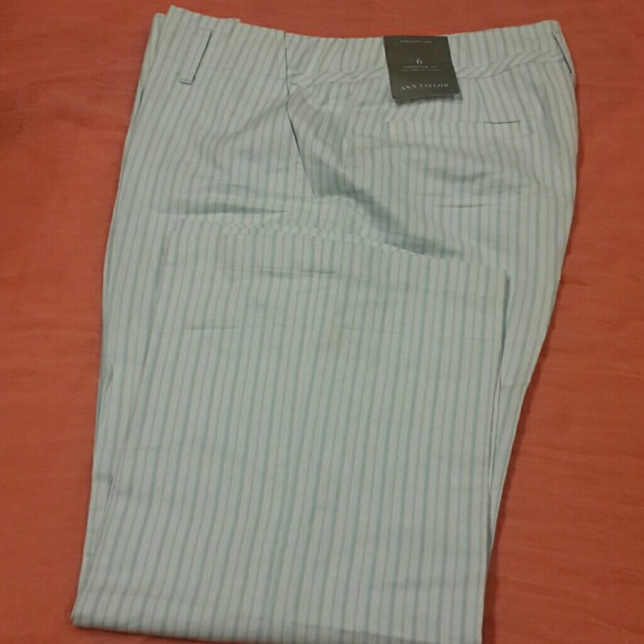 ANN Taylor  caprice