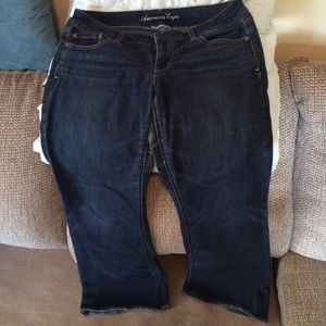 Size 14 Artist style American Eagle Jeans