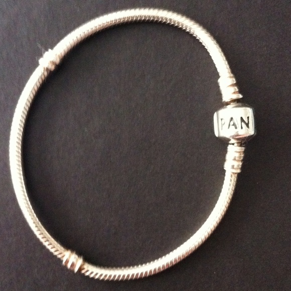 Pandora Iconic Silver Charm Bracelet