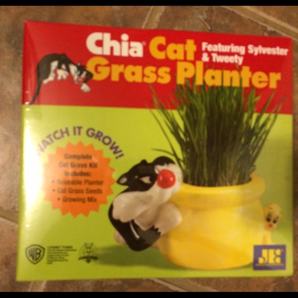 NEW Sylvester & Tweety Chia Cat!