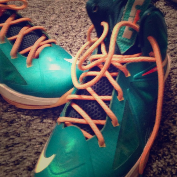 Lebrons 10