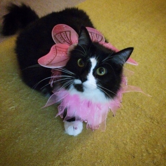 Meet your seller / buyer! - Picture 2 of 4