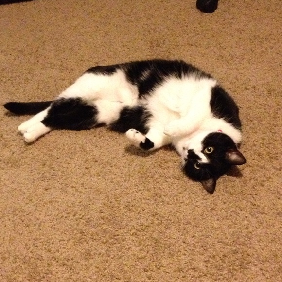 Meet your seller / buyer! - Picture 3 of 4