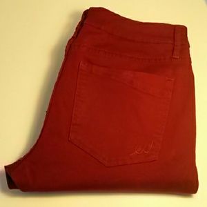 Brick red express Jeggings