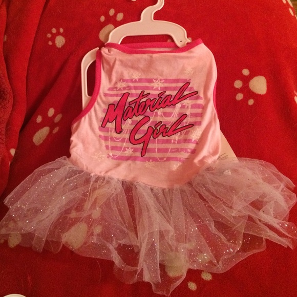 ❌❌❌Cute Pink Madonna Material Girl Dog Dress L - Picture 1 of 1
