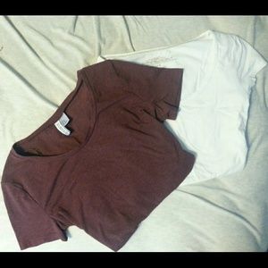 Divided & LOGG Bundle !