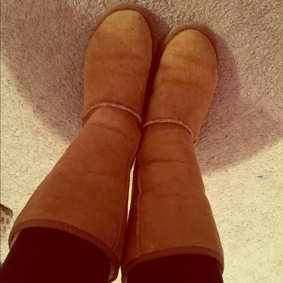 Classic Chestnut uggs - Picture 1 of 1
