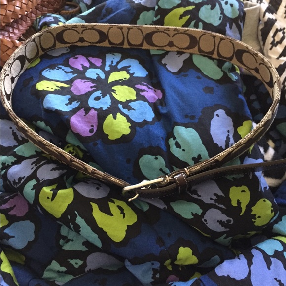 Coach belt.