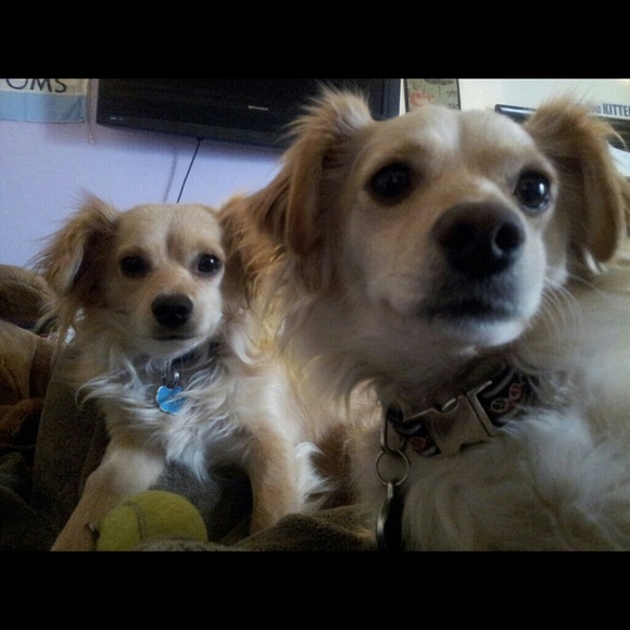 My babies c: