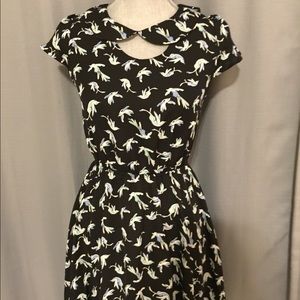 LC Lauren Conrad fit & flare dress