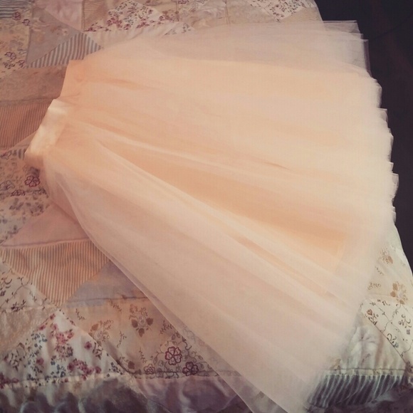 Blush Tulle Skirt