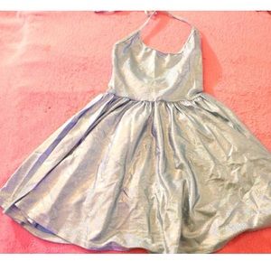 American Apparel Cinderella  Skater Dress