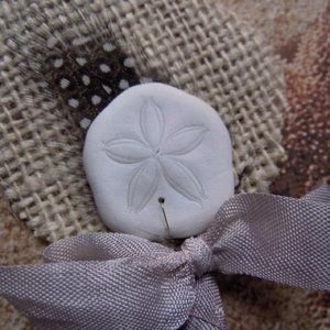 Sand dollar boutonniere