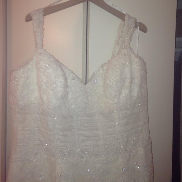 A gorgeous wedding plus sized wedding dress! - Picture 1 of 4