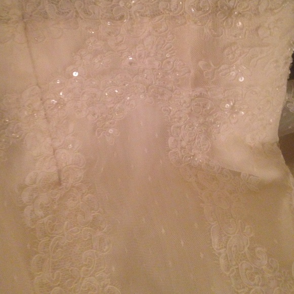 A gorgeous wedding plus sized wedding dress! - Picture 4 of 4
