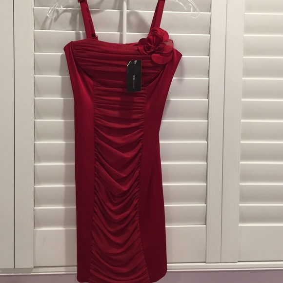 BCBG cocktail dress!