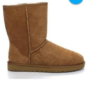 Classic short UGGS in chestnut