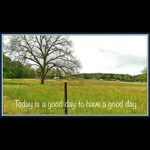 🌅🌅I wish you all a wonderful day!!!